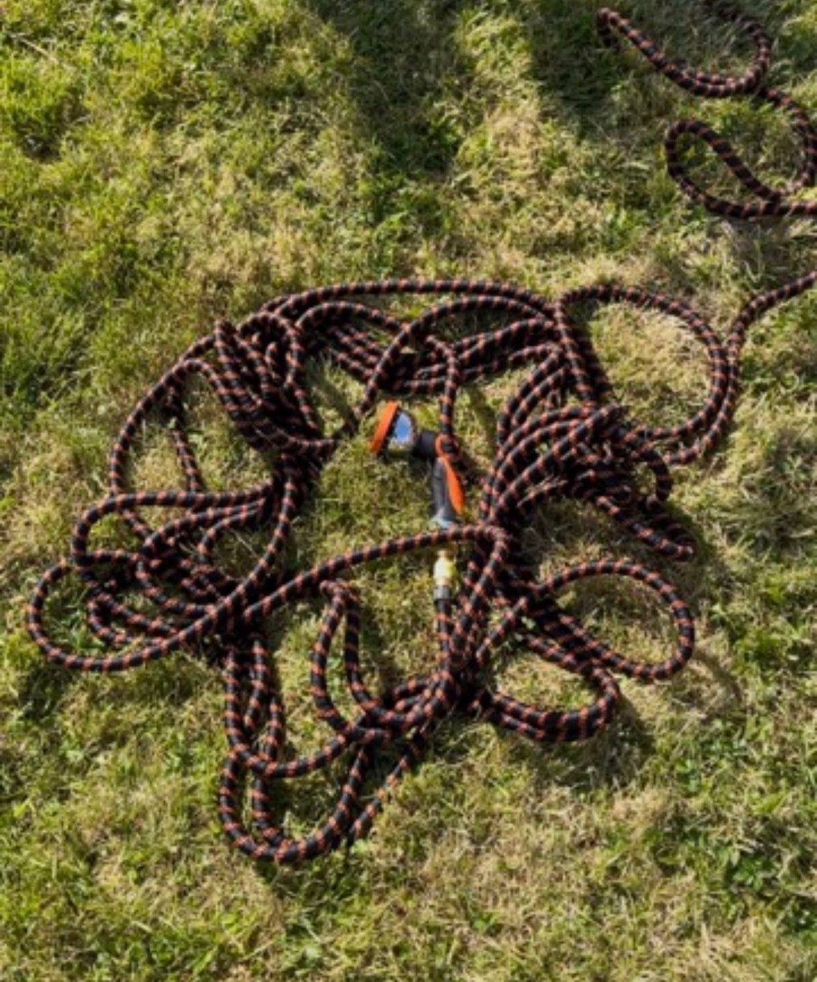 color:orange